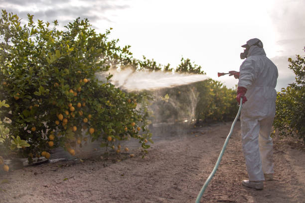 Reliable Ottawa Hills, OH Pest Control Solutions