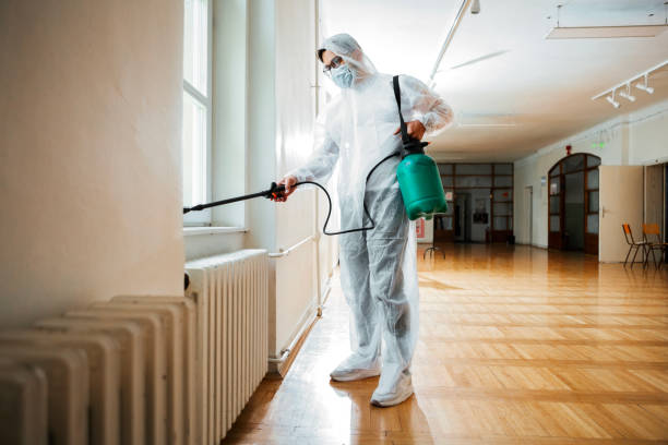 Best Wasp Removal Services  in Ottawa Hills, OH